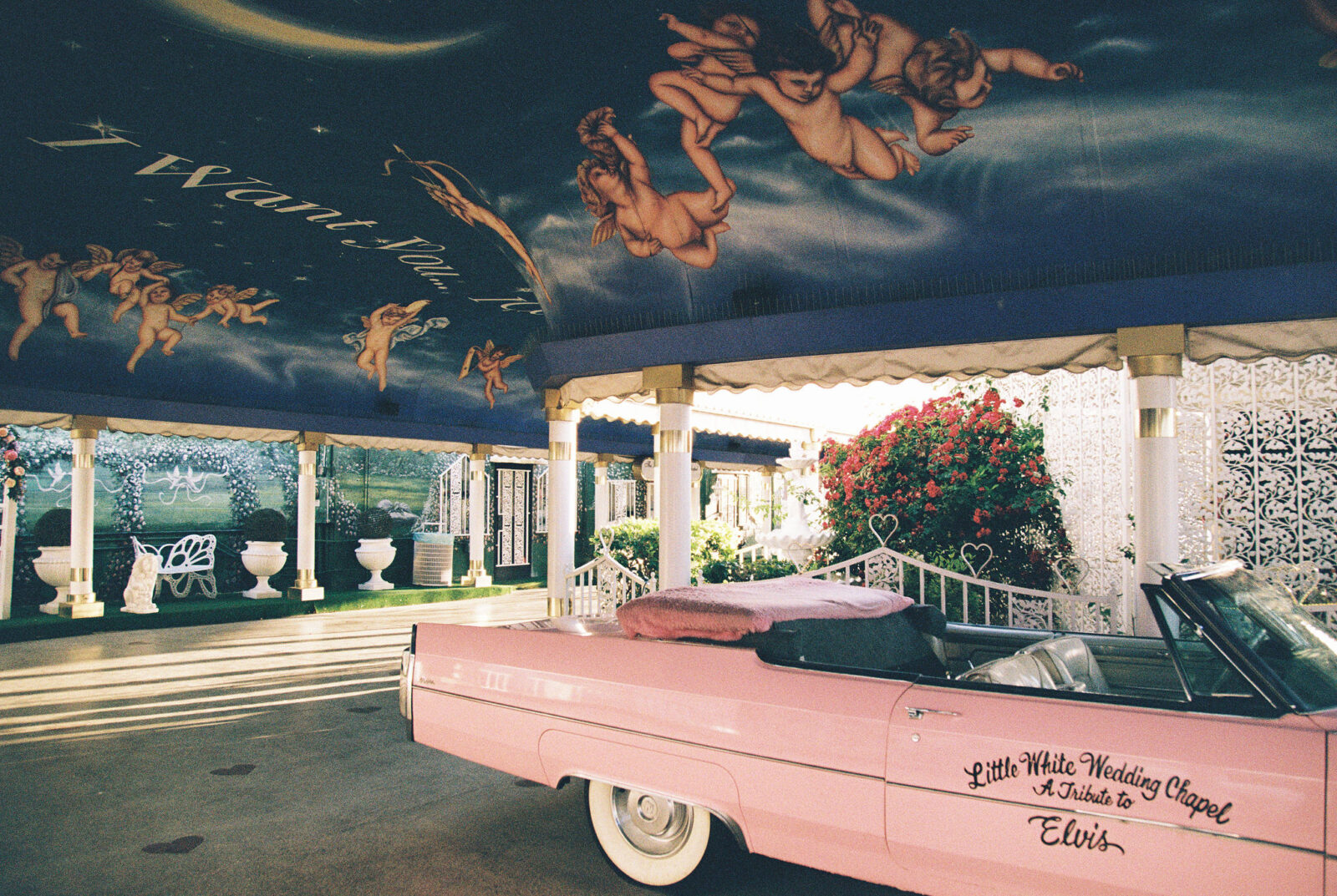 The Pink Cadillac in The Tunnel of Love captured on film