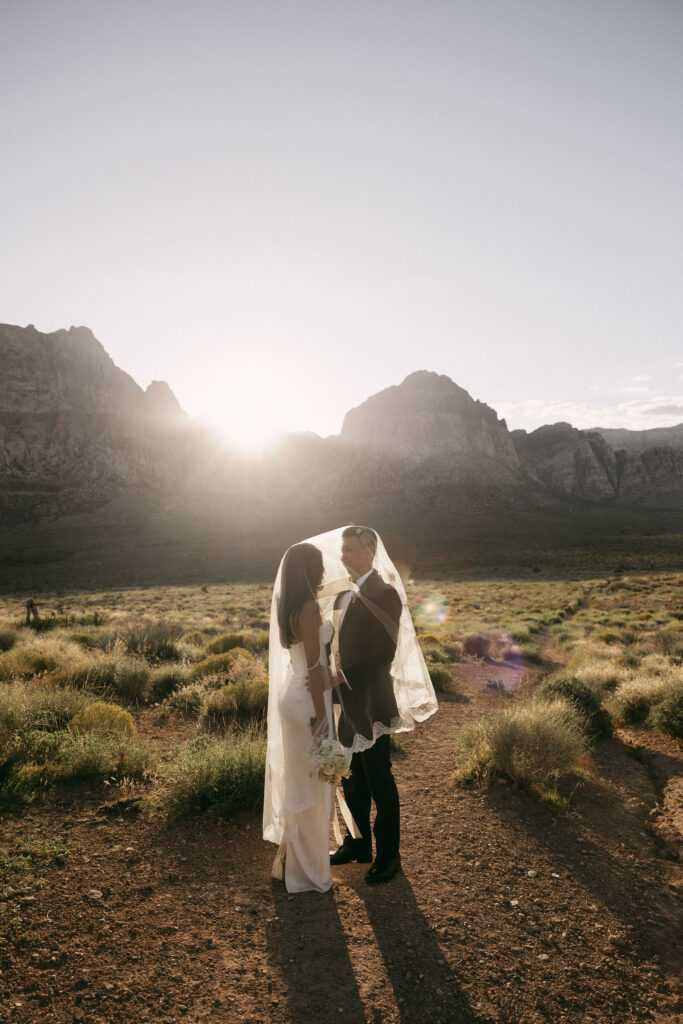 Digital photo of a bride and groom posing for portraits in Red Rock Canyon at sunset