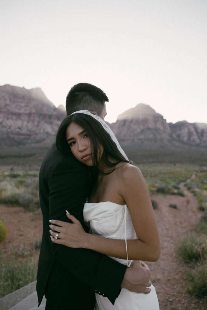 Digital photo of a bride and groom posing in Red Rock Canyon