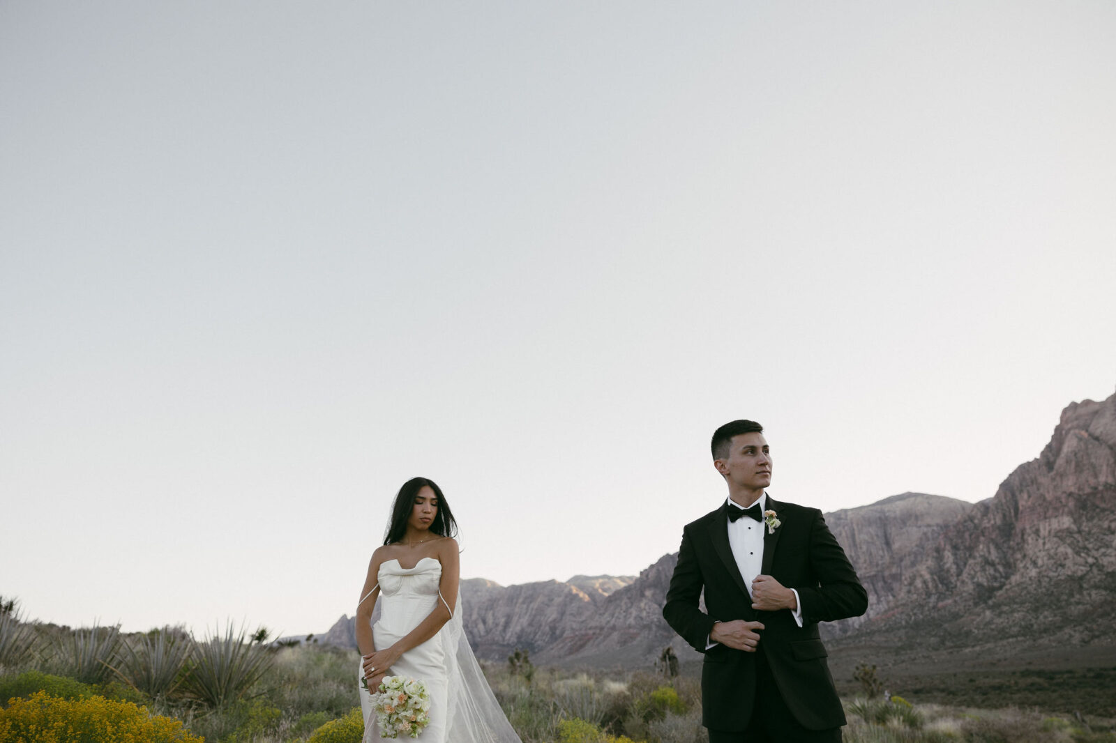 Bride and grooms Re Rock Canyons wedding portraits - digital vs film wedding photography