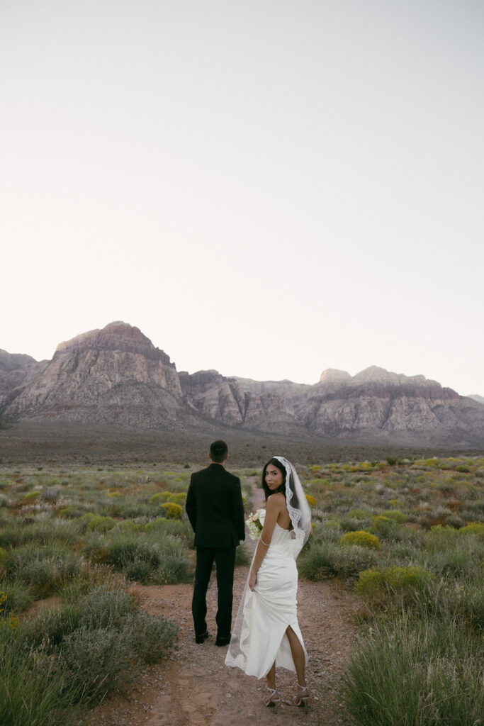 Digital photo of a bride and groom in Red Rock Canyon